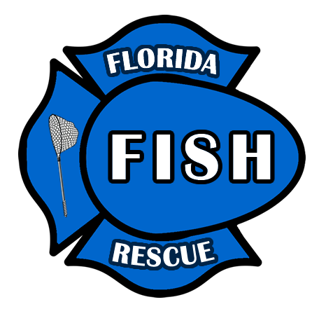 Florida Fish Rescue